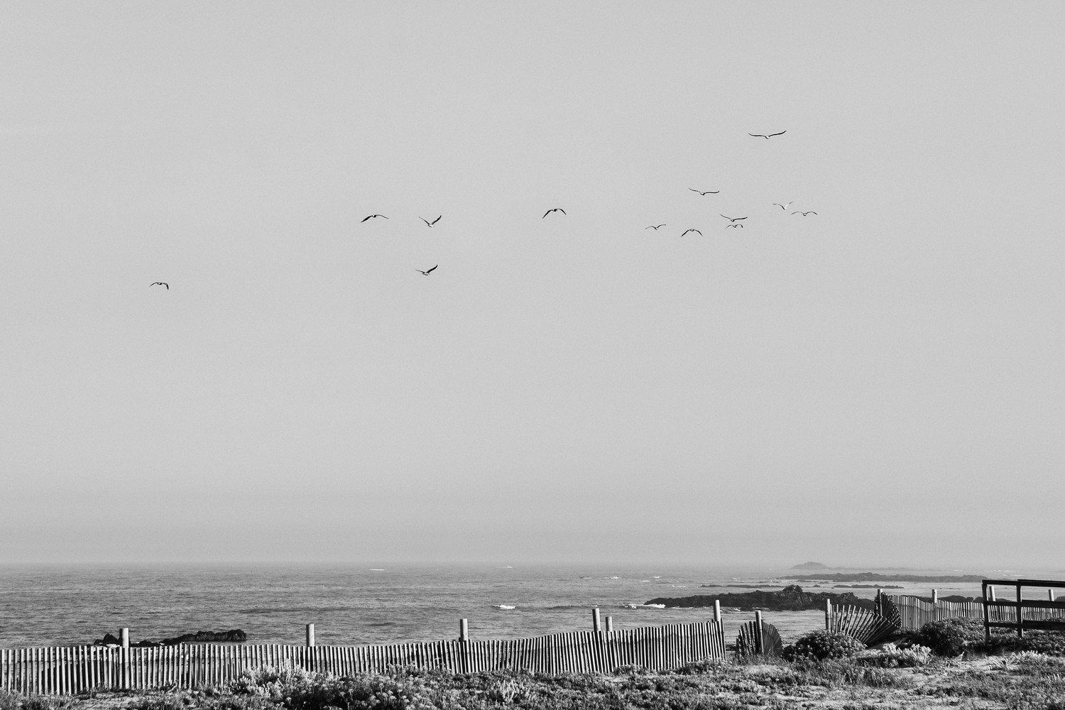 Camino Portugués de la costa