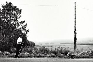 Camino Portugués